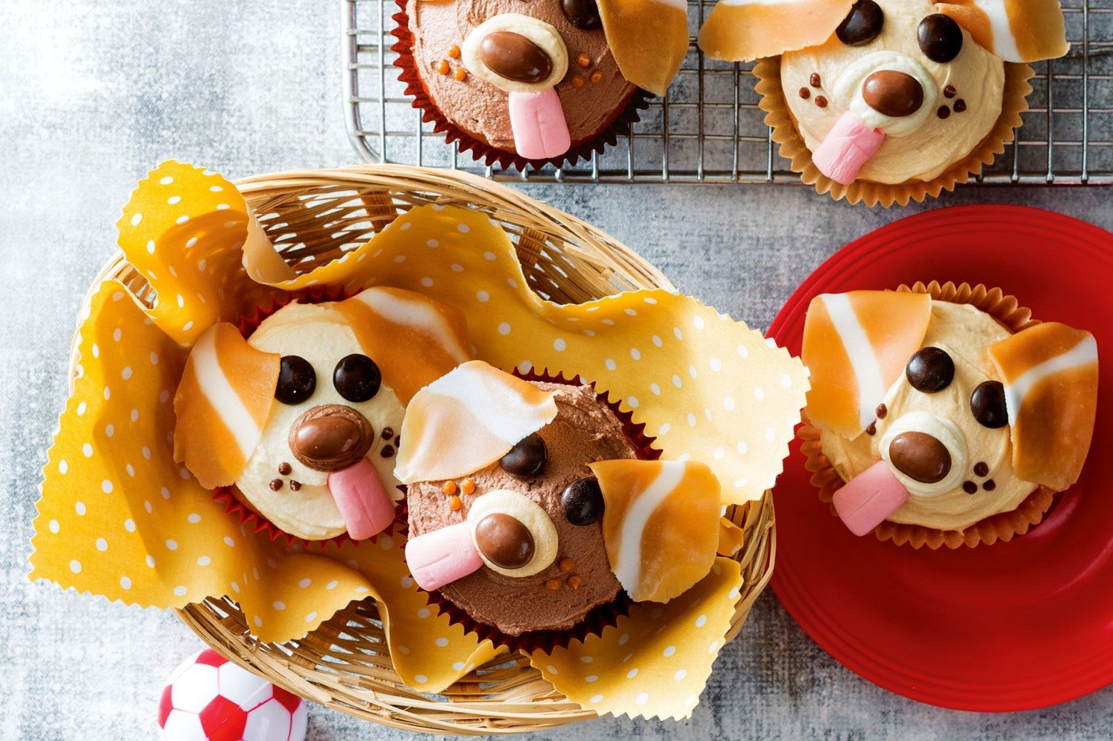 What Dog Breed And Cat Breed Are You A Combo Of? Quiz pupcakes