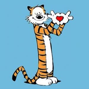 What Domestic And Wild Cat Breeds Are You A Combo Of? Quiz Hobbes