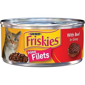 What Domestic And Wild Cat Breeds Are You A Combo Of? Quiz Beef gravy