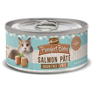 What Domestic And Wild Cat Breeds Are You A Combo Of? Quiz Salmon pâté