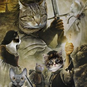 What Domestic And Wild Cat Breeds Are You A Combo Of? Quiz The Lord of the Strings