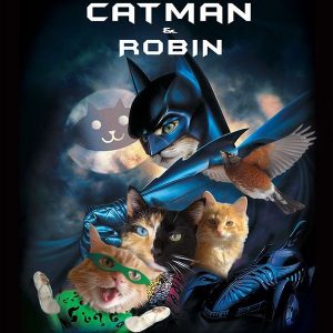 What Domestic And Wild Cat Breeds Are You A Combo Of? Quiz Catman & Robin