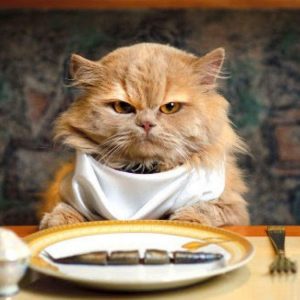 Plan Dinner Party & I'll Guess Your Relationship Status Quiz No dessert