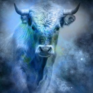 May Trivia Quiz Bull