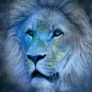 May Trivia Quiz Lion