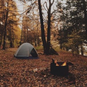 What Fall Food Are You? Camping