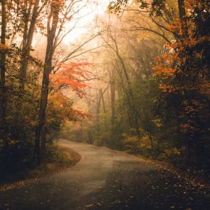 What Fall Food Are You? Rainy