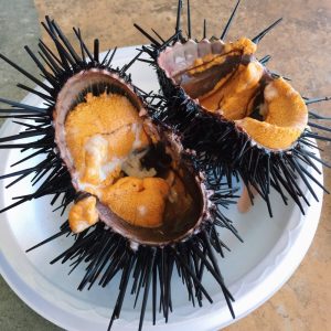 🍣 You Can Eat Sushi Only If You Get More Than 9/16 on This Quiz Sea urchin