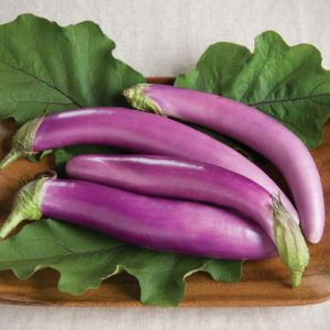 How Close to 20/20 Can You Get on This General Knowledge Test? Eggplant