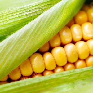 🍔 Make a Burger and We’ll Know If You’re an Introvert or Extrovert Corn