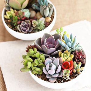 Decorate Your House With Decor Trends & I'll Guess Gene… Quiz 