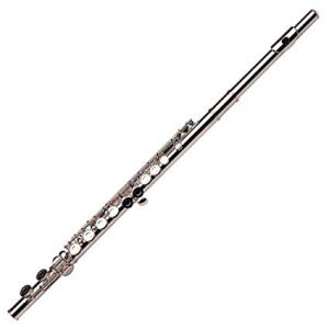 Can You Correctly Answer 15 Random General Knowledge Questions? Flute