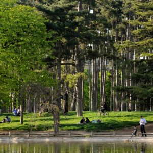 Can You Spend a Weekend in Paris With Just $500? Bois de Boulogne