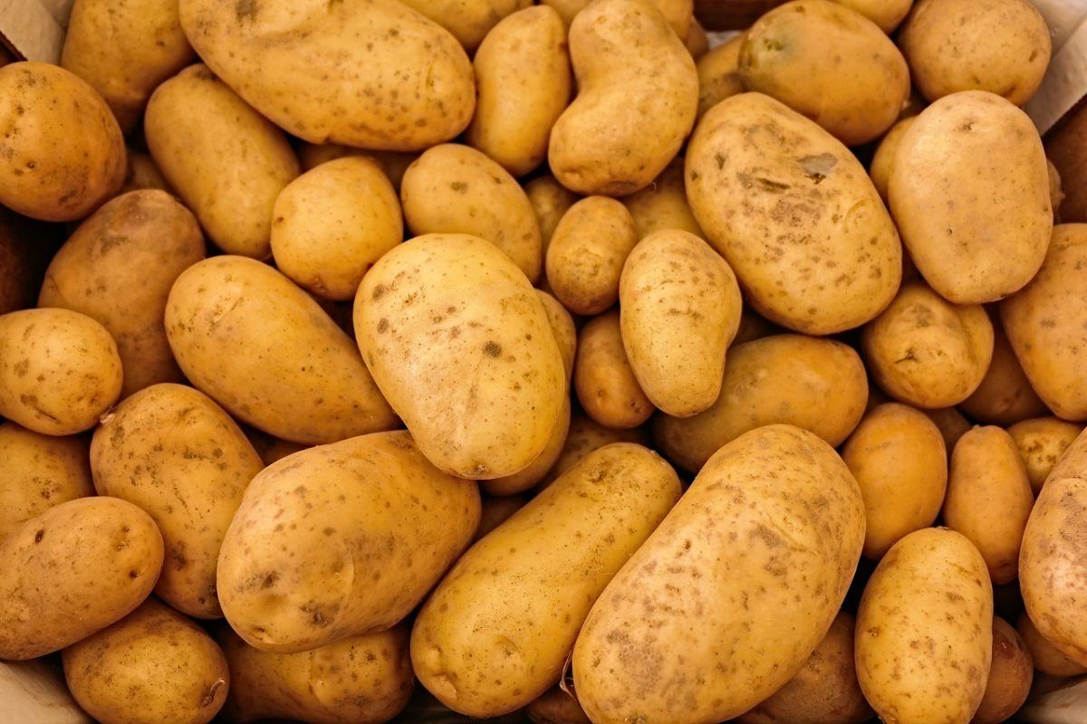 Only the Smartest Can Beat This General Knowledge Quiz potatoes1