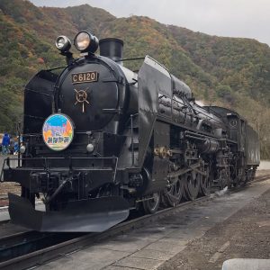 Only the Smartest Can Beat This General Knowledge Quiz Train