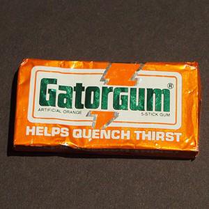 Can We Guess Your Age and Gender With Just 15 Questions? Gatorgum