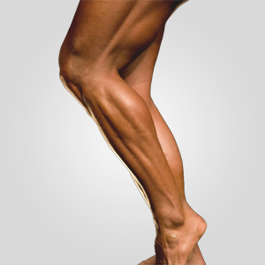 How Much Useless General Knowledge Do You Actually Have? Leg
