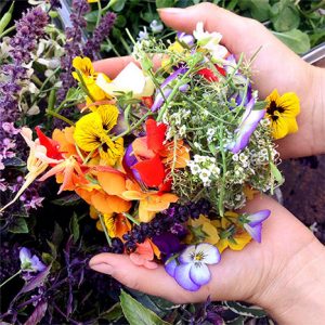 🎂 Make Yourself a Birthday Cake — It Will Help Us Guess the Season You Were Born Edible flowers