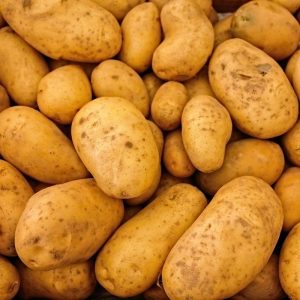 🍻 Can You Take Part in a Pub Quiz and Win It All? Potatoes