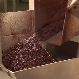 🍫 You Can Eat Chocolate Only If You Get More Than 10/18 on This Quiz It has been processed to be this way.