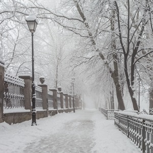 What Smell Am I? Winter