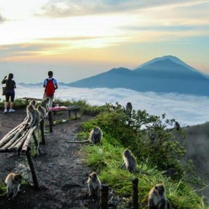 What Smell Am I? Volcano trekking