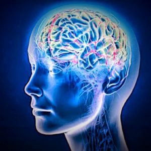 February Trivia Quiz Alzheimer\'s