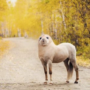 Only A True Trivia Genius Can Ace This Quiz In One Go Animal