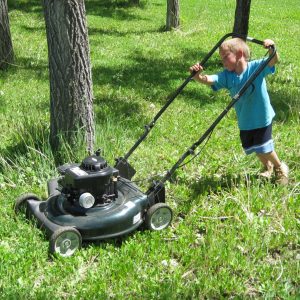 We'll Give You Pet To Adopt By Way You Handle Your Dail… Quiz Mow your lawn