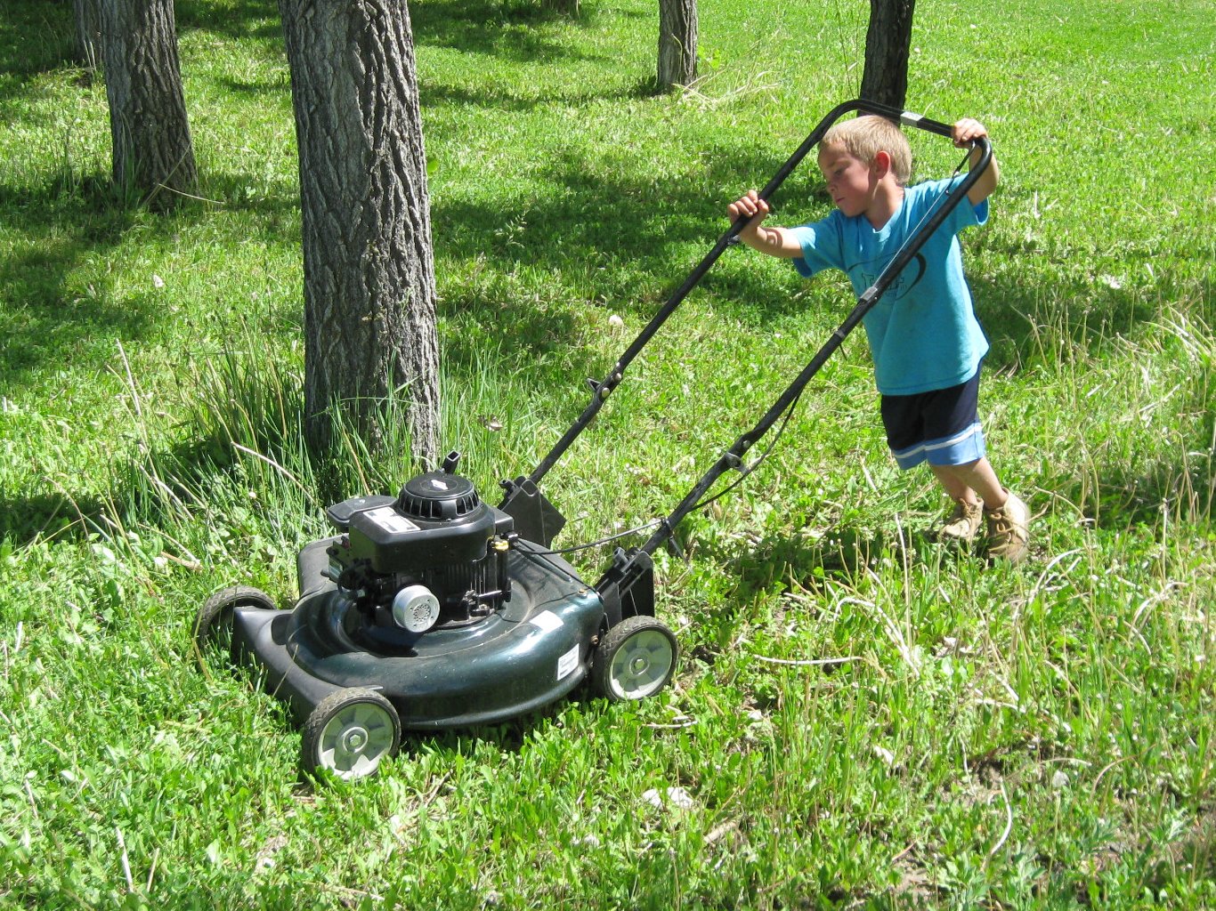 Can We Guess Your Age Based on the Life Skills You Have? mowing the lawn