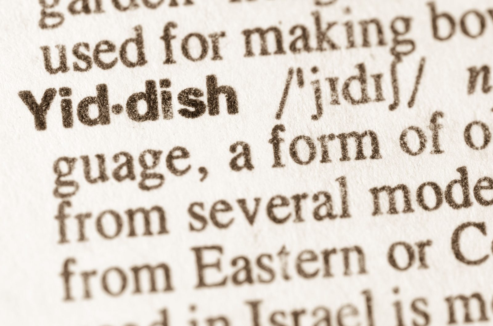 Do You Have the Smarts to Pass This General Knowledge Test? 46936217   definition of word yiddish  in dictionary