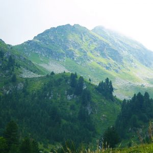 Is Your Vocabulary Better Than The Average Person? Quiz A small mountain