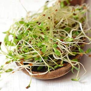 Build Gross Burger To Know What You Should Be For Hallo… Quiz Alfalfa sprouts