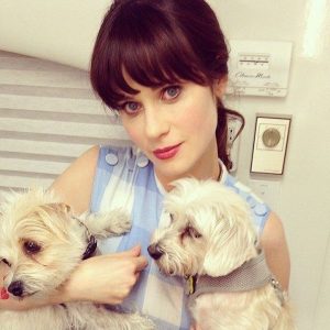 What Animal Am I? Zooey Deschanel