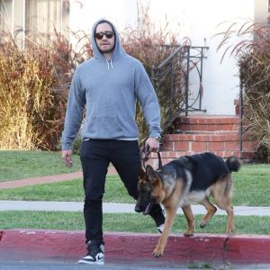 What Animal Am I? Jake Gyllenhaal