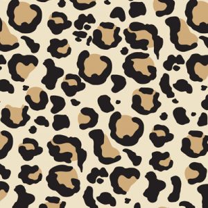 What Animal Am I? Leopard