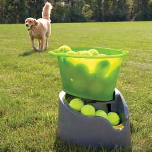 What Animal Am I? Automatic ball launcher