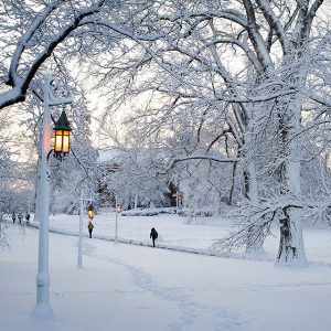🍀 You Will Need More Than Just Luck to Pass This General Knowledge Quiz Michigan