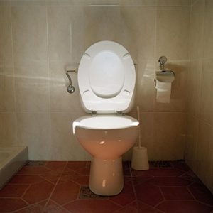 Everyone Has a Male Celeb in His 20s That They Belong With — Here’s Yours Leaving the toilet seat up