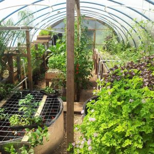What Ridiculous Food Trend Are You? Quiz Urban farmer