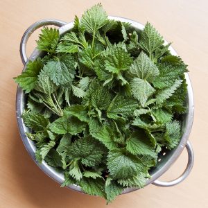 What Ridiculous Food Trend Are You? Quiz Nettles