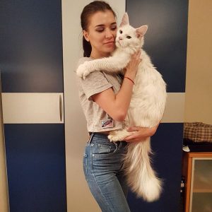 What Unpopular Food Are You? Quiz Hug Your Cat Day