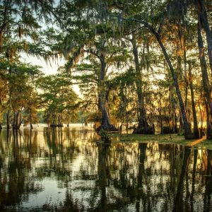 Can You Pass This Impossible Geography Quiz? Louisiana