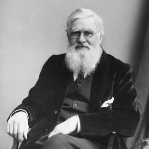 Only Straight-A Students Can Get at Least 12/15 on This General Knowledge Quiz Alfred Russel Wallace