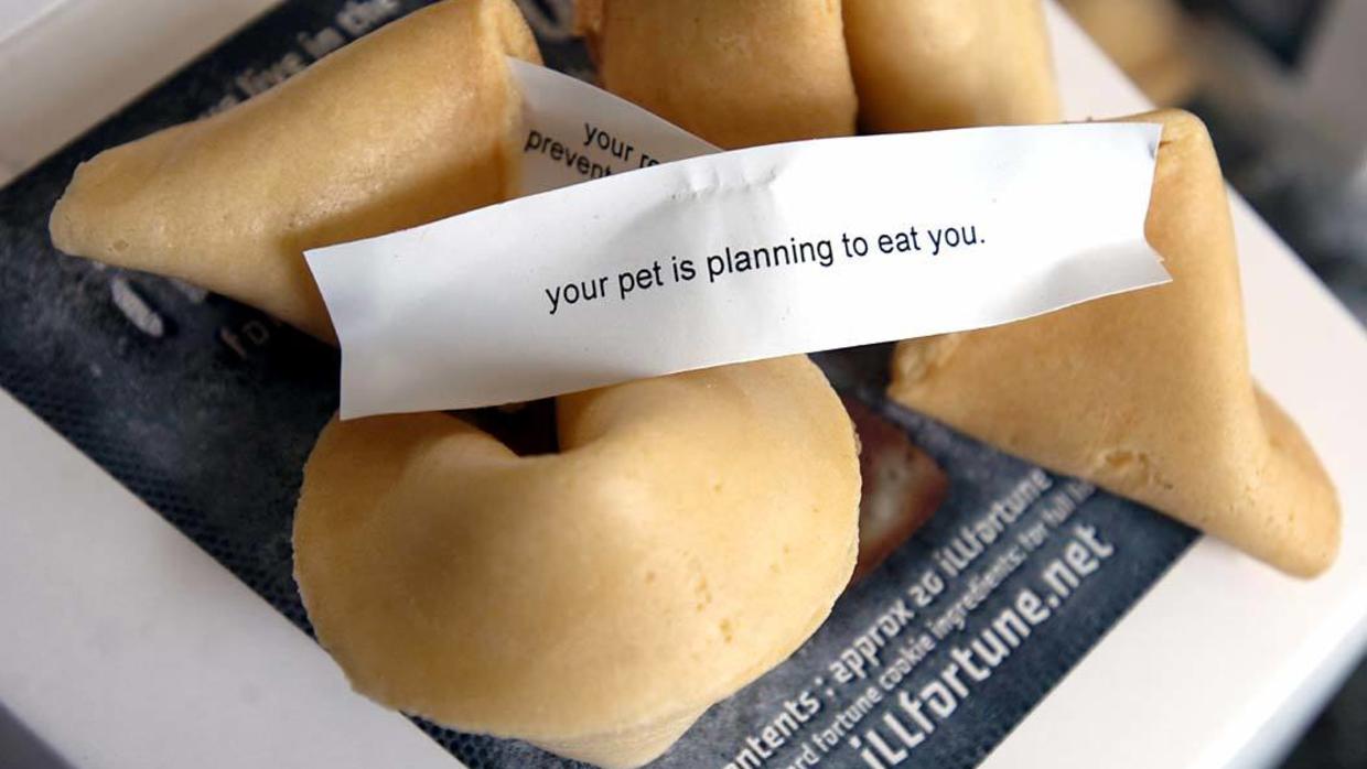 You got: A Direct Fortune Cookie! 🥡 Order Some Chinese Food and We’ll Reveal What Your Fortune Cookie Says 🥠