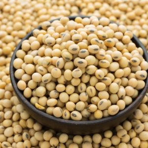 Do You Know a Little Bit About Everything? Soybeans