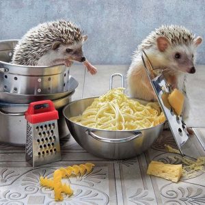 What Pasta Am I? Quiz 