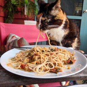 What Pasta Am I? Quiz 