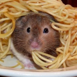 What Pasta Am I? Quiz 