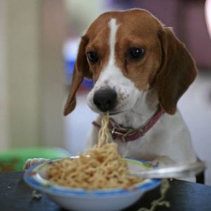 What Pasta Am I? Quiz 